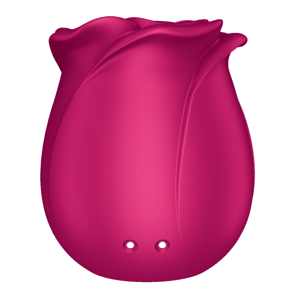 Вакуумный стимулятор клитора Satisfyer Pro 2 Classic Blossom
