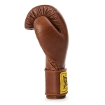 Боксёрские перчатки Everlast 1910 PRO LEATHER HOOK AND LOOP - Brown