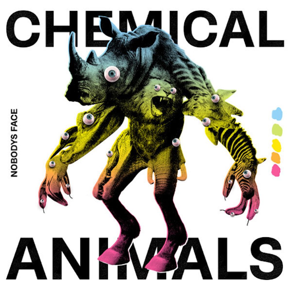 Nobody&#39;s Face / Chemical Animals (LP)