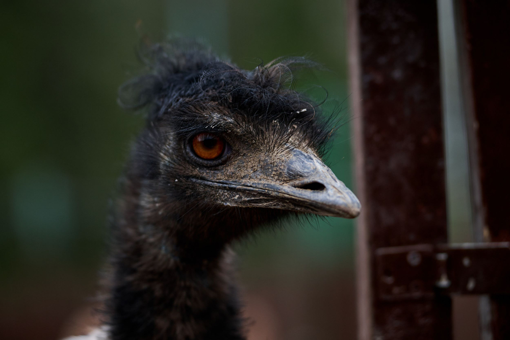 Праздник в стиле Гжель