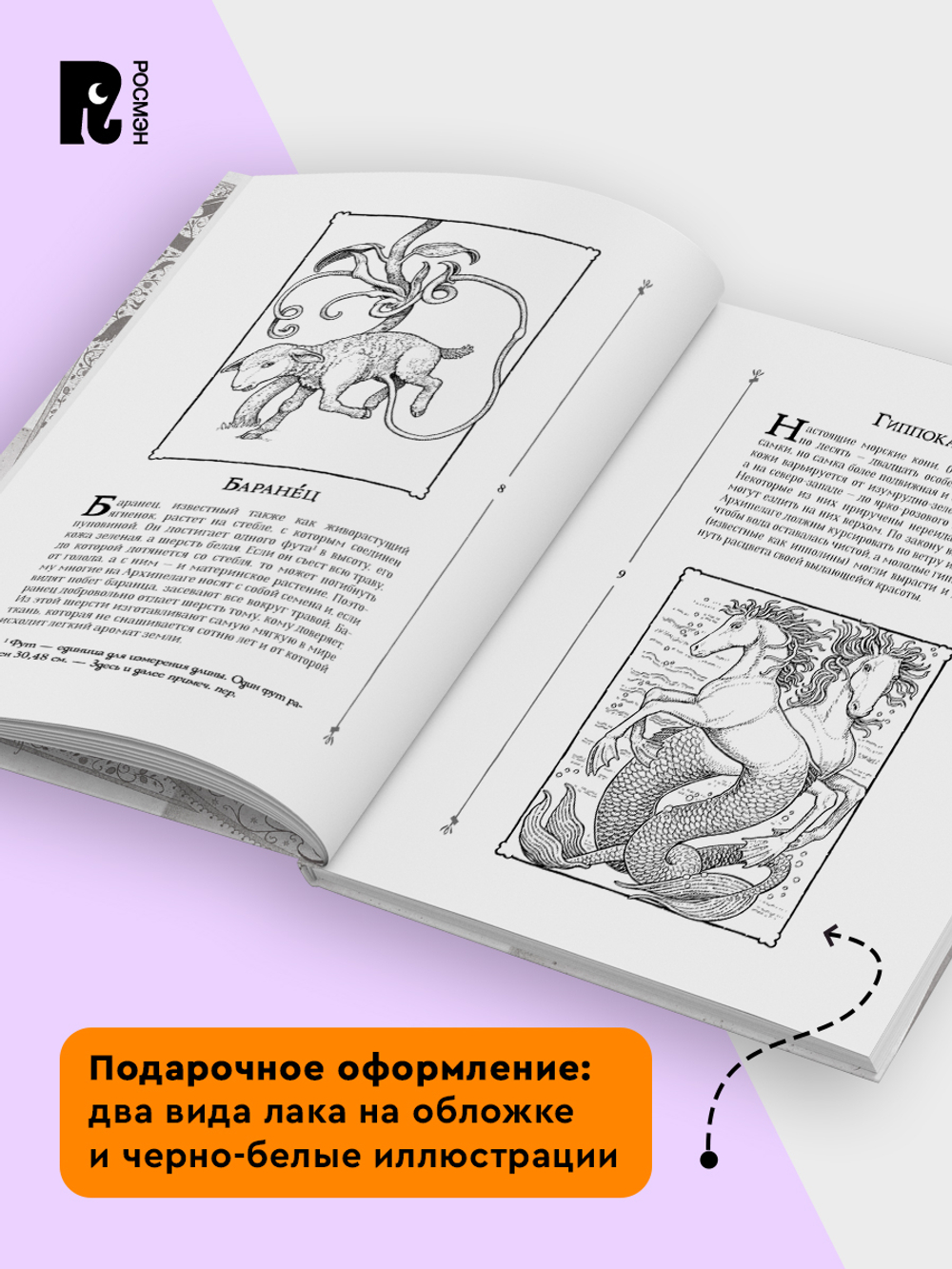 Кэтрин Ранделл. Невероятные создания