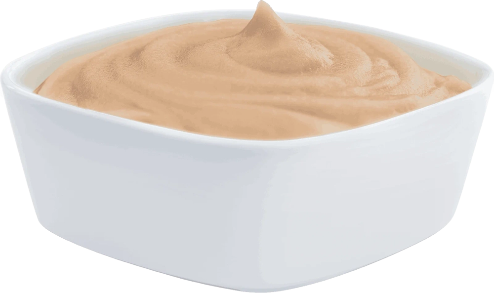 ХОЛИСТИК ПРЕМЬЕР Лакомство для кошки Нежное пюре из лосося, 4*10 г