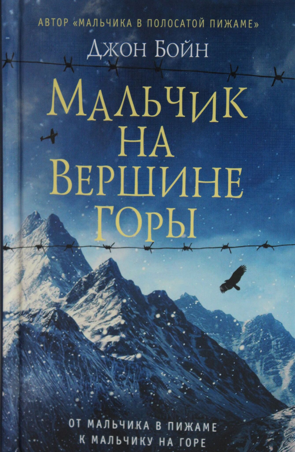 Мальчик на вершине горы