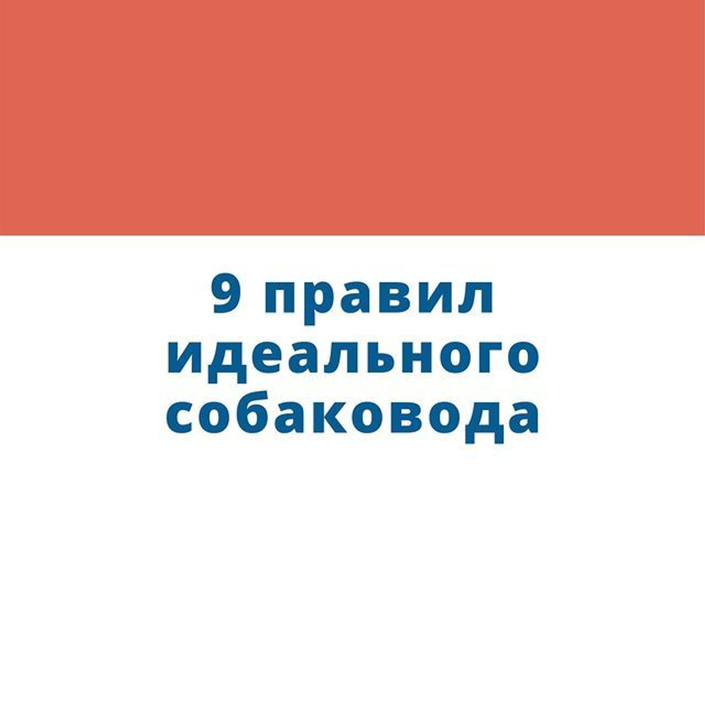 9 правил идеального собаковода