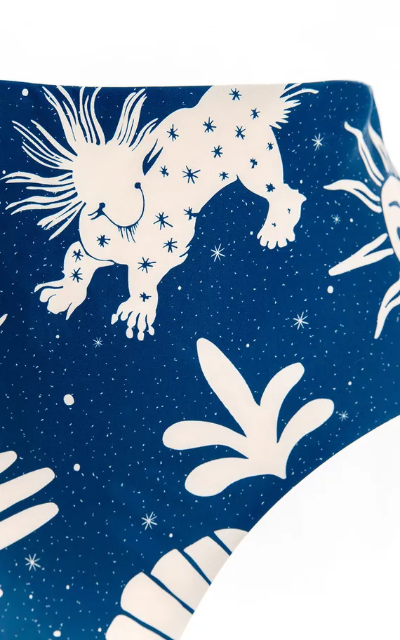 Плавки 7243 Alicia Maniera