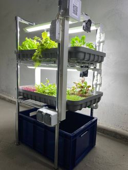Домашняя гидропонная установка
