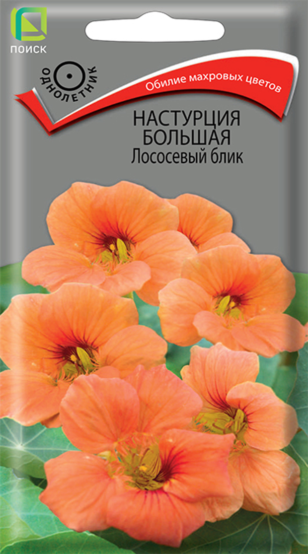 Настурция большая Лососевый блик