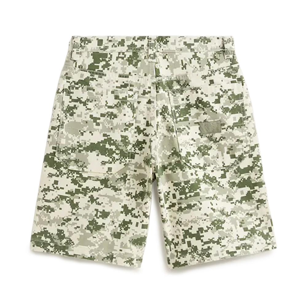 Мужские шорты Vans Check-5 Baggy Canvas Short