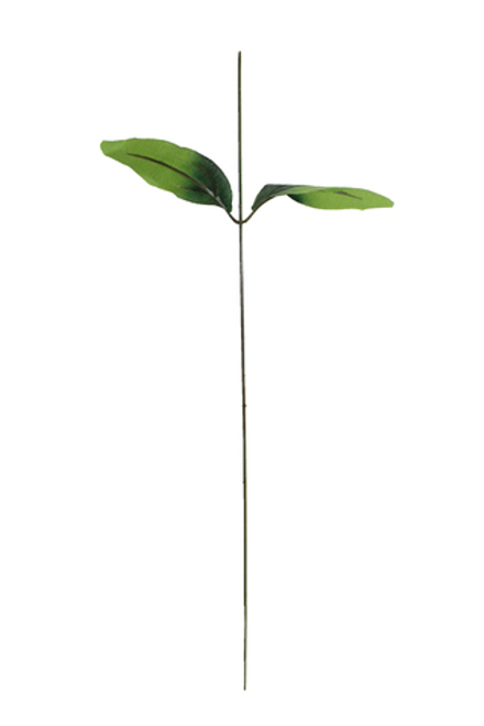 Стебель с листом розы