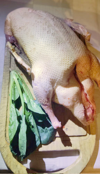 Утка домашняя