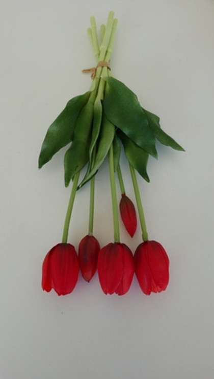 Тюльпаны классика / Арт 2431