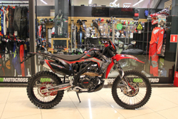 Кроссовый мотоцикл FXmoto Raptor (NC300) 21/18