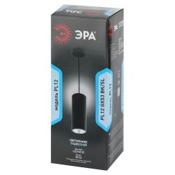 Светильник подвесной ЭРА PL12 GX53 BK/SL под лампу GX53 черный/серебро