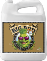 AN Big Bud Liquid Coco стимулятор плодоношения для кокоса