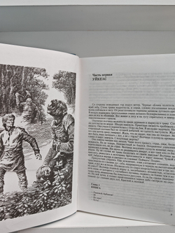 Арбан Саеш. Миссия для чужеземца. Отсчет теней. Камешек в жерновах. (Трилогия в одном томе)