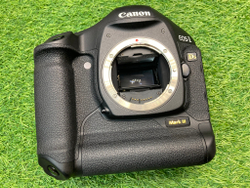 Canon EOS 1DS Mark III  300 кадров