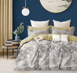 Постельное белье 1.5 спальное Asabella 1979-4S