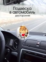 Подвеска в машину - Шелти (шетландская овчарка)