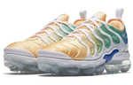 Кроссовки Nike Vapormax Plus Light Menta, AO4550-100