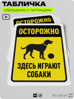 Табличка "Осторожно, здесь играют собаки" на дверь и забор, для двора, дома, подъезда, 40х30 см, Silver Plane x Айдентика Технолоджи