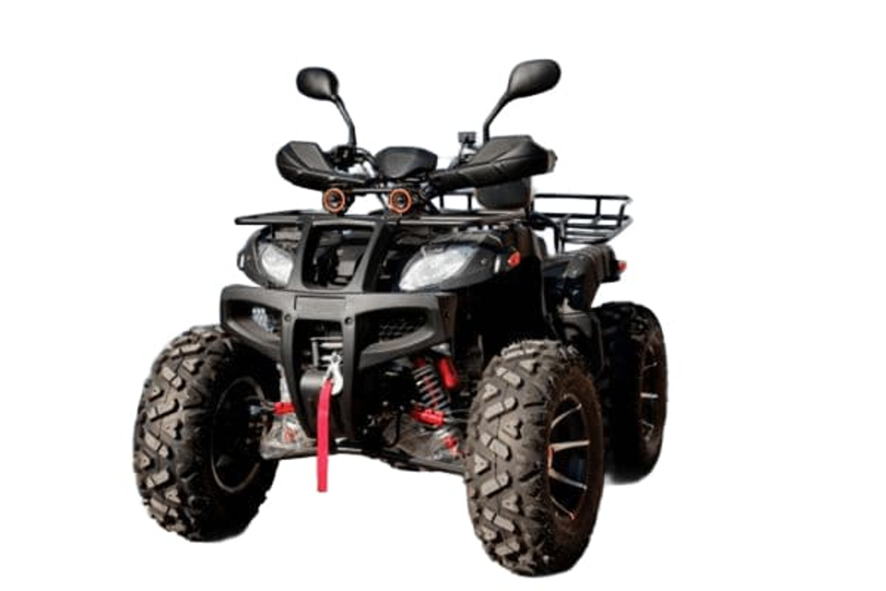 Квадроцикл GRIZZLY 250