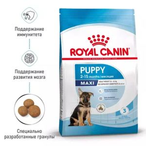 Корм для щенков крупных пород, Royal Canin Maxi Puppy