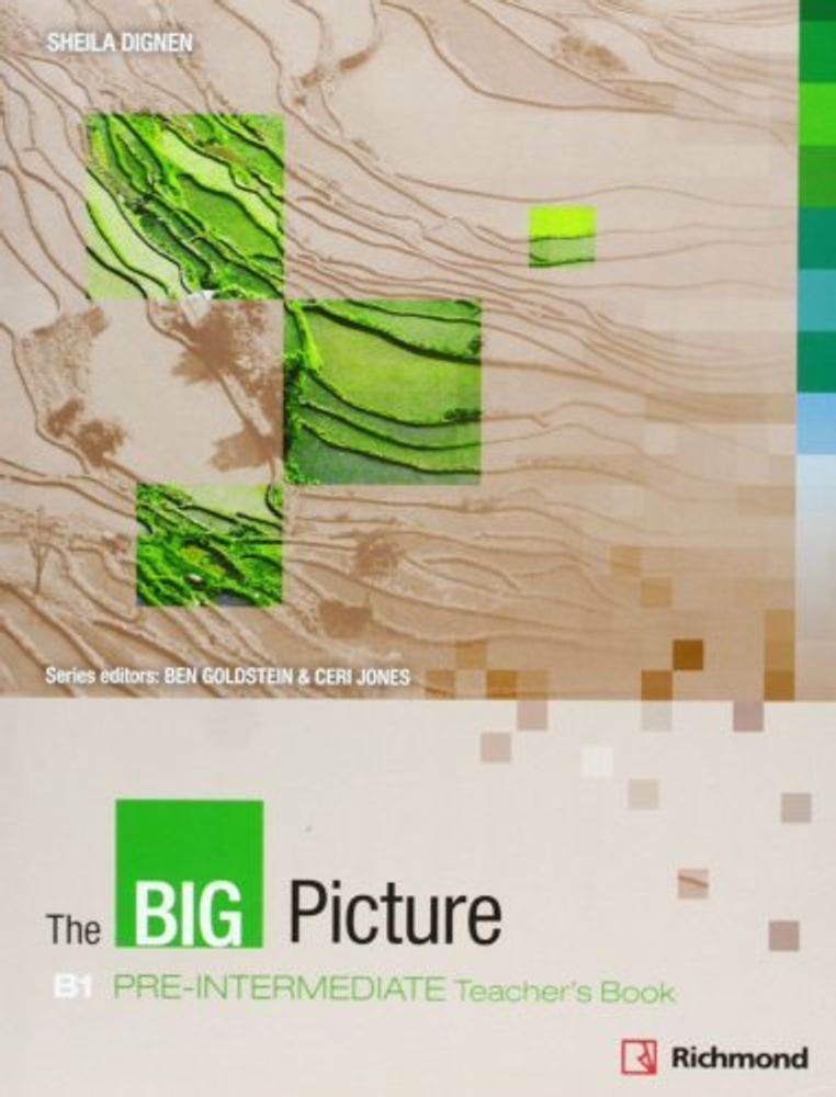 The Big Picture Pre-Int книга для учителя (TB)
