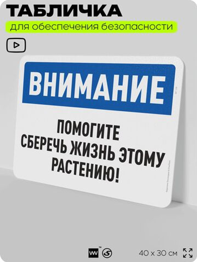 Табличка для обеспечения безопасности "Внимание, помогите сберечь жизнь этому растению", для офиса, по охране труда для предприятия, организаций, 40х30 см, Silver Plane x Айдентика Технолоджи