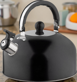 Чайник со свистком из нержавеющей стали Casual (2,7л.)