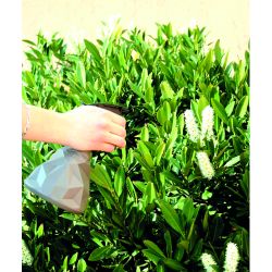 4119 HoZelock Дизайнерский триггерный опрыскиватель KALEIDO от HoZelock 4119, 0,7л | HoZelock