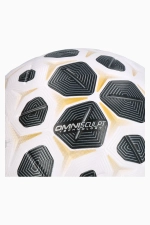 Футбольный мяч Nike Control размер 5 - белый