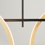 Подвесной светильник Maytoni MOD428PL-L20BK