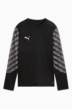 Вратарская кофта Puma teamLIGA 26 GK - черный