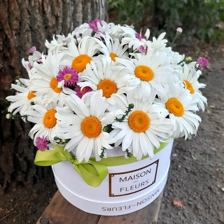 Ромашки в коробке