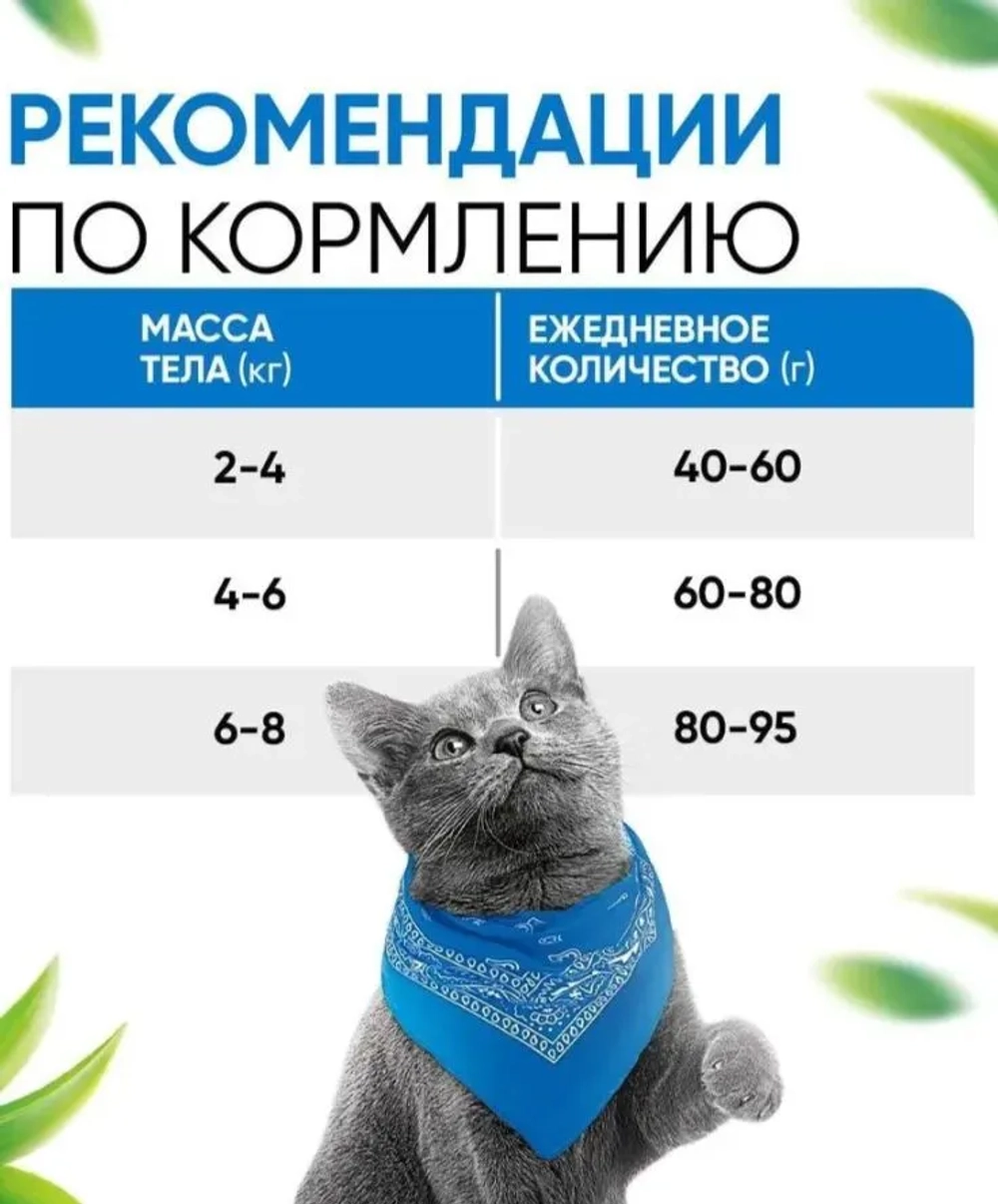 DELICANA сухой полнорационный корм для взрослых кошек с лососем 8кг