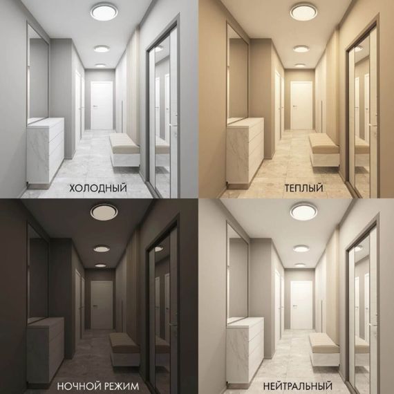 Потолочный светодиодный светильник Denkirs Cany DK6516-WH