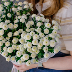 159. Воздушный стойкий моно-букет с хризантемой сантини