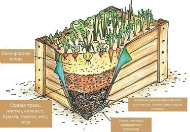 Теплая грядка весной: как сделать для раннего урожая в Сибири