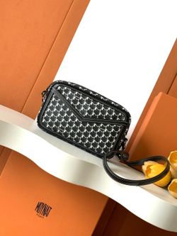 Moynat Camera Bag 22 cm