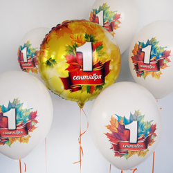 Шар с рисунком 14" 1 Сентября 5 цв