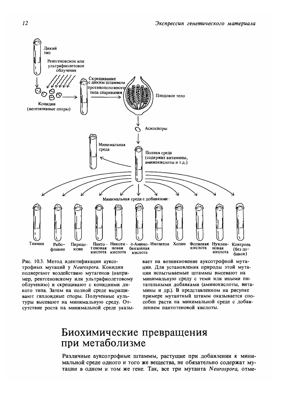 Современная генетика. Том 2 | Ф. Айала; Д. Кайгер