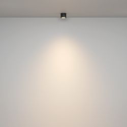 Светильник потолочный Maytoni   C095CL-GX53-B