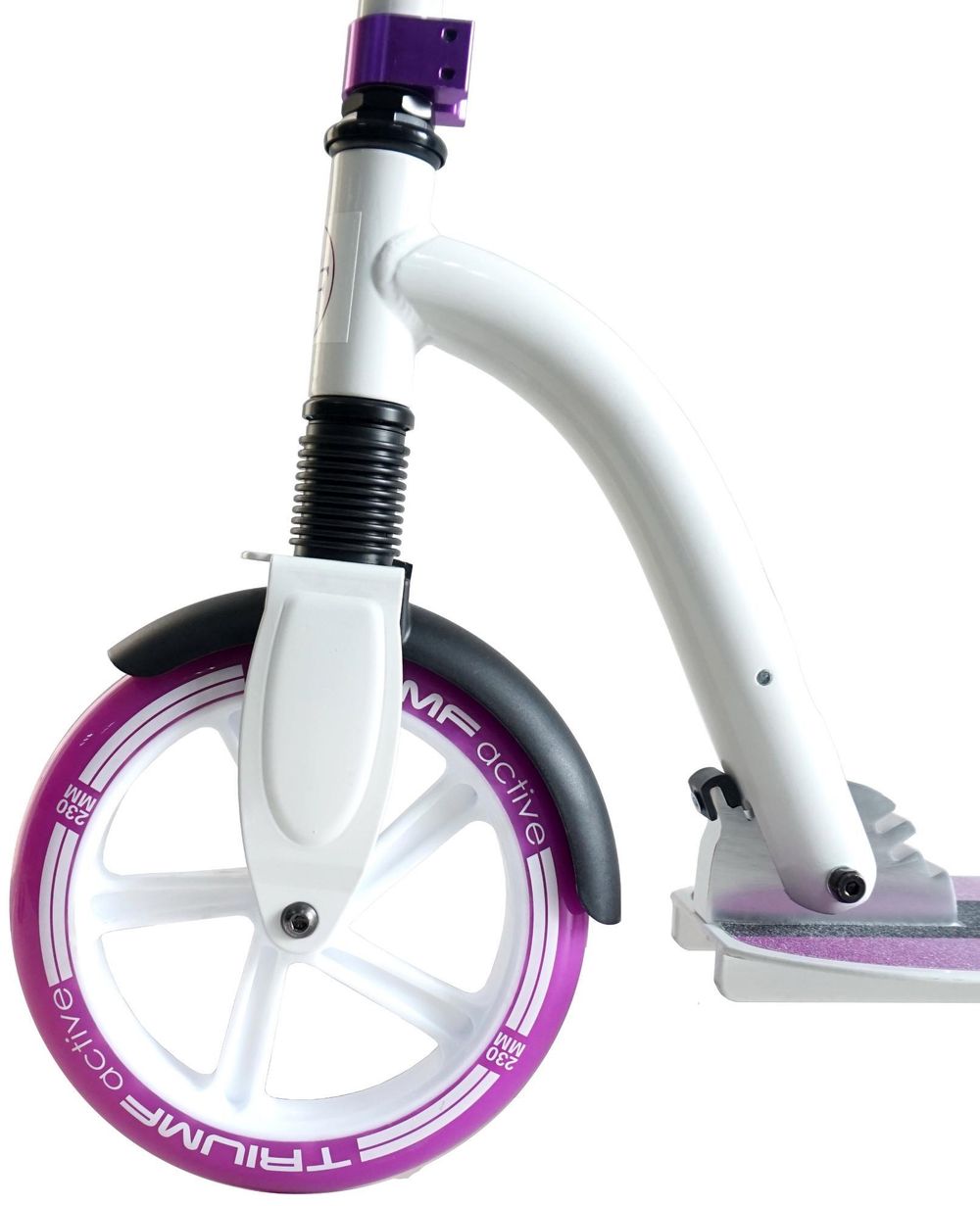 Самокат Triumf Active NL300-230