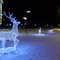 Световой Олень Северный