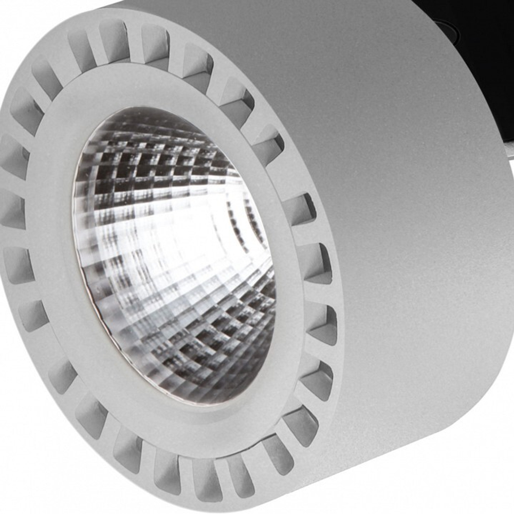 Светильник на штанге Lightstar Forte IP65 381393