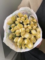 Тюльпаны классика - лимонный цвет