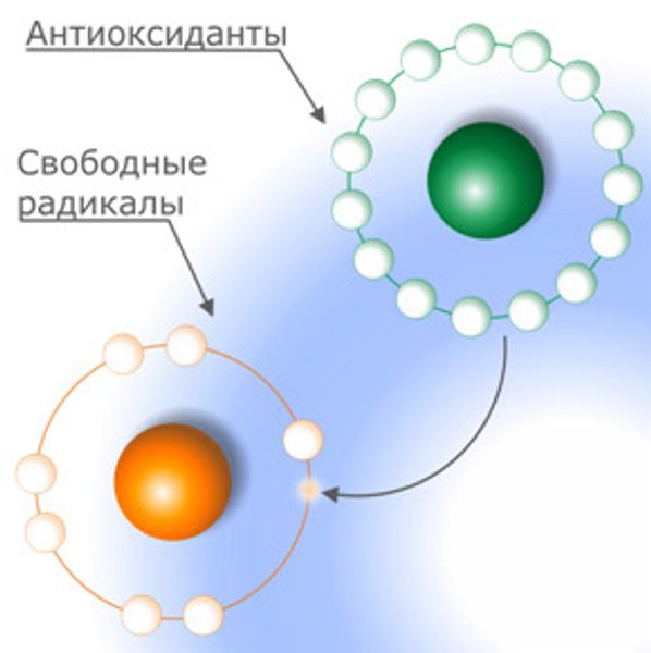Картинки ЗАЩИЩАЕТ ОТ СВОБОДНЫХ РАДИКАЛОВ