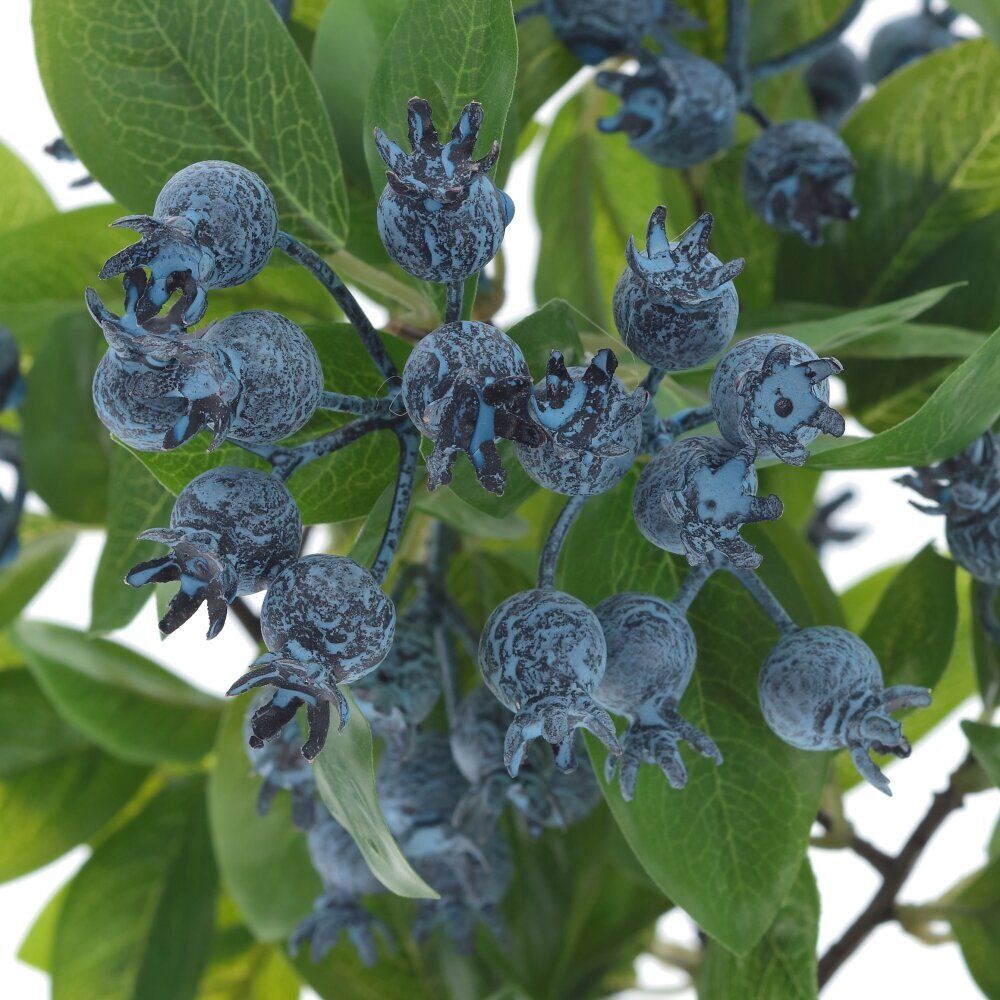 GAEM Цветочная композиция "Голубика", L21 W19 H34 см