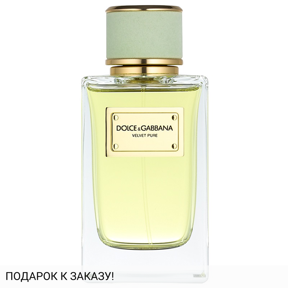 Dolce and Gabbana Velvet Pure