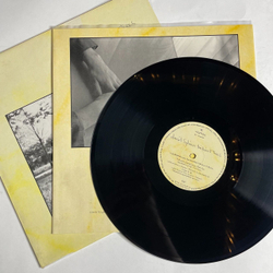 Винтажная виниловая пластинка LP David Sylvian Brilliant Trees (UK 1984)